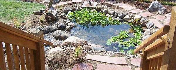Heartland Gardens of Omaha Pond Installation